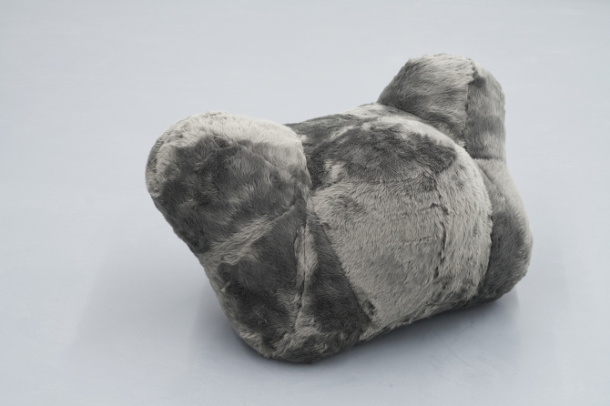 fur — 电子眼凝视