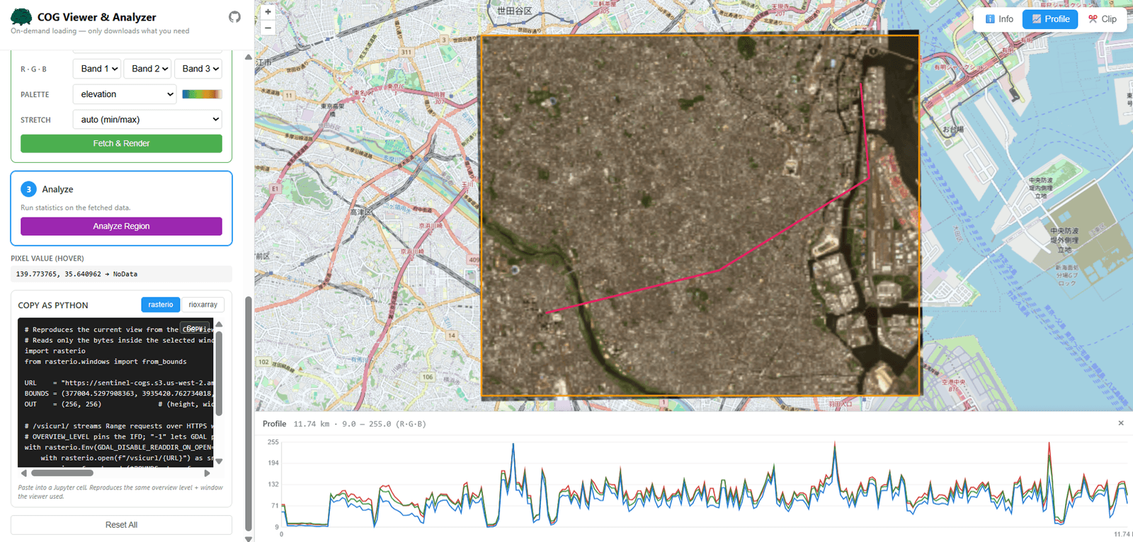 cog viewer interface